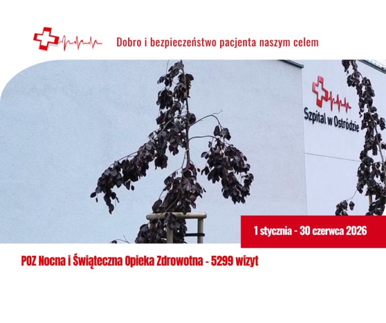 Pół roku w&nbsp;liczbach – Nocna i&nbsp;Świąteczna Opieka Zdrowotna